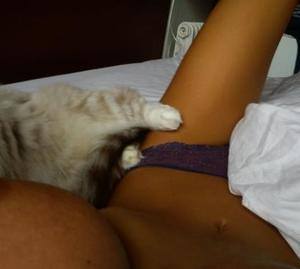 Photo of Payton (29) from Sacramento, CA dating profile